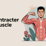 illustration comment décontracter un muscle naturellement