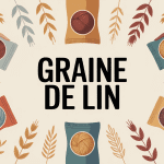graine de lin ou acheter illustration main choix sachets