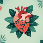 griffonia et rythme cardiaque plante coeur stylisé