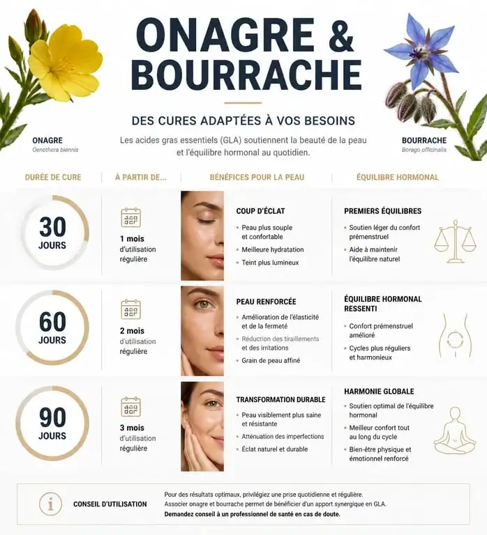 Infographie des durées de cure d'onagre et de bourrache pour la peau et l'équilibre hormonal