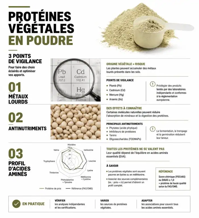 Infographie sur les points de vigilance et la sécurité des protéines végétales en poudre