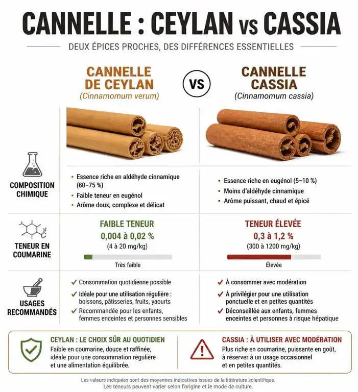 Infographie comparative des bienfaits de la cannelle de Ceylan et de la cannelle Cassia pour la santé