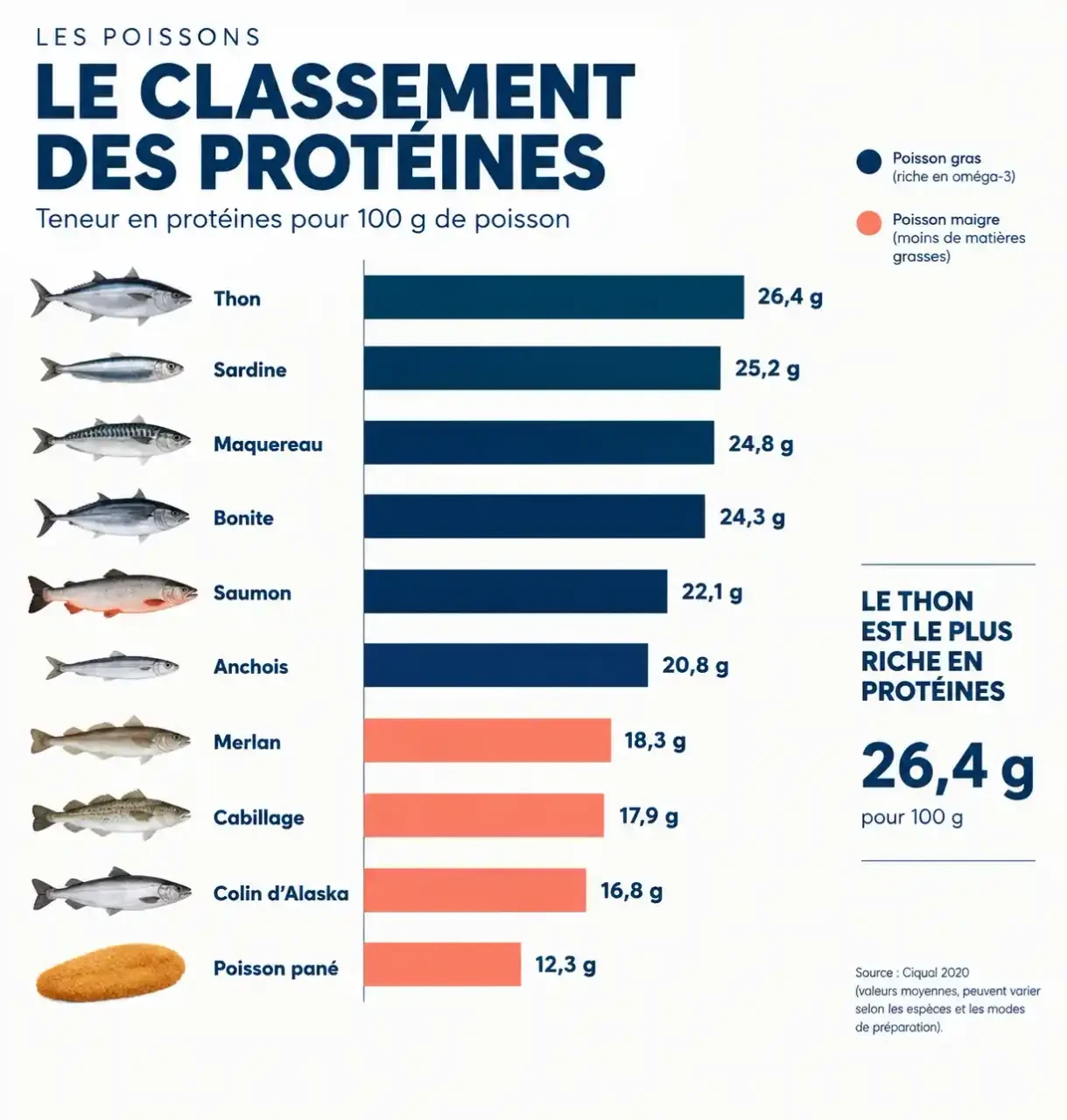 Poisson protéine : classement des poissons les plus riches en protéines pour 100 g, du thon au poisson pané